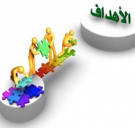 صورة 8