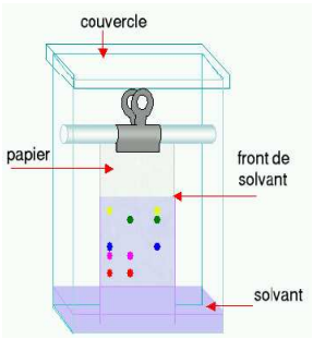 Chromatographie sur couche mince